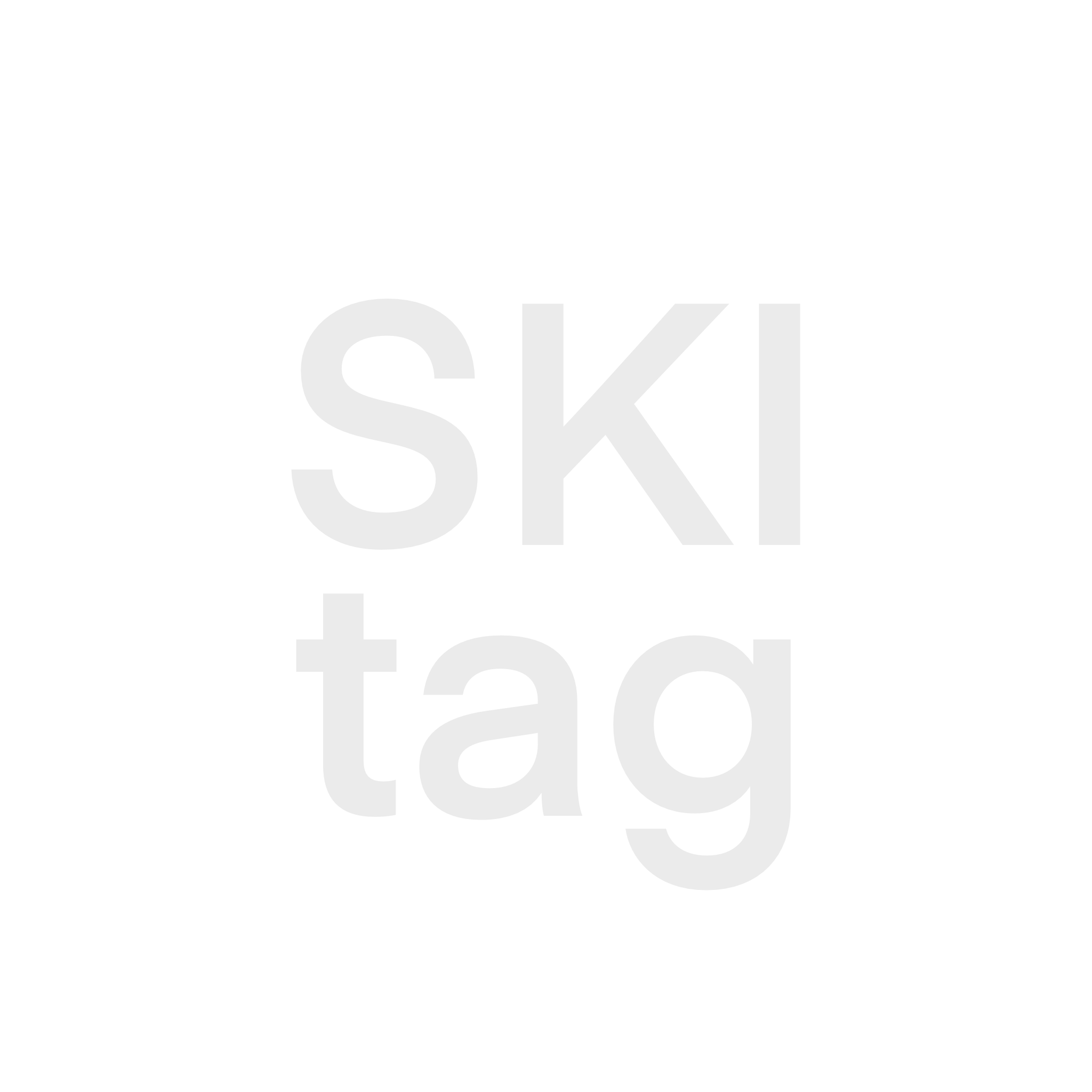 logo skitag
